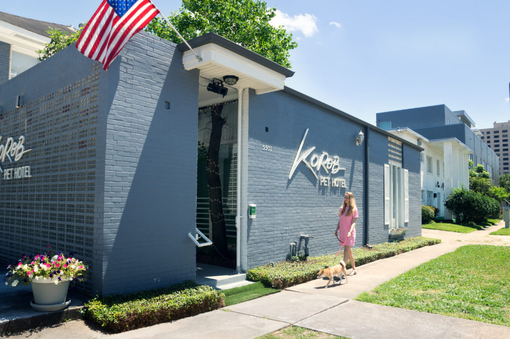 Gallery Korob Dog Hotel in Houston, TX